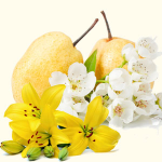 asian-pear-lily