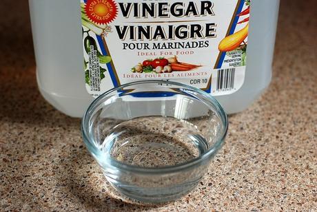 vinegar non-toxic mold solution kill clean remove