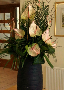 corporate flowers
