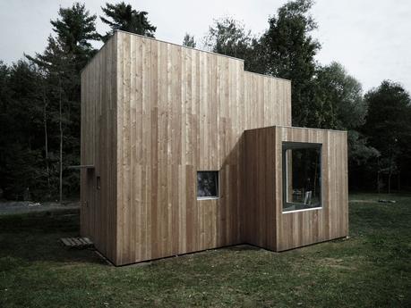 Modern box vacation home with larch planks