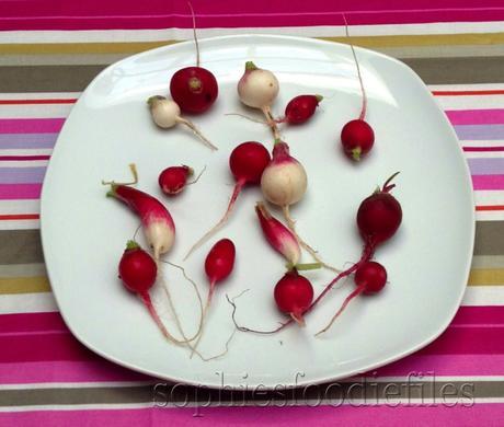 Home grown radishes!