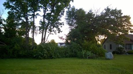 Our Net Zero Home Journey Begins…