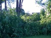 Zero Home Journey Begins…