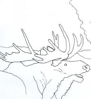 AMAZING ANTLERS: Moose Coloring Page