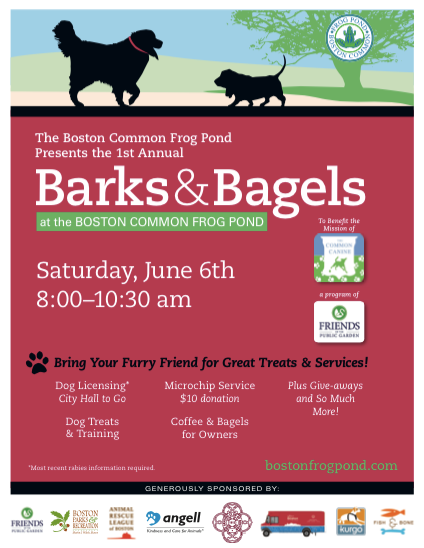 Barks and Bagels on Boston Common