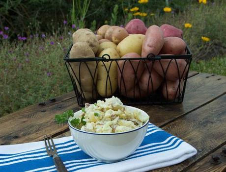 Creamy Potato Salad