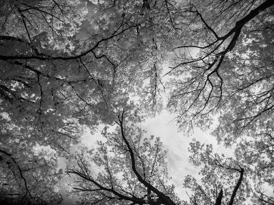 World of InfraRed 2   [Sky Watch Friday]