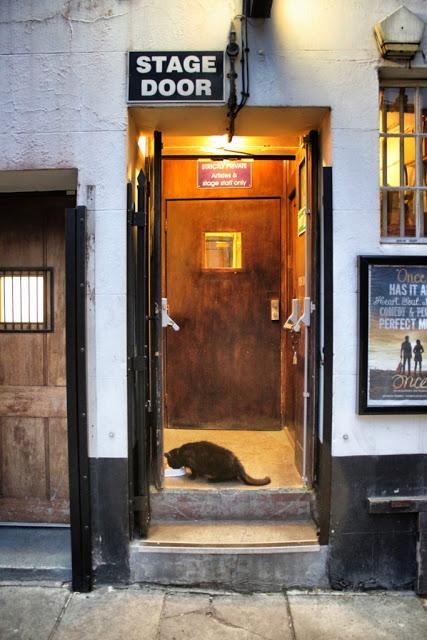 The London Nightly Photoblog 05:06:15