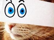 Cats With Funny Cartoon Eyes