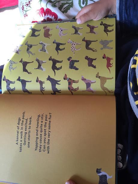 Where's The Pair? {a spotting book}