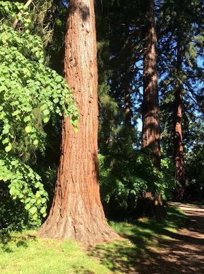 National Volunteers Week