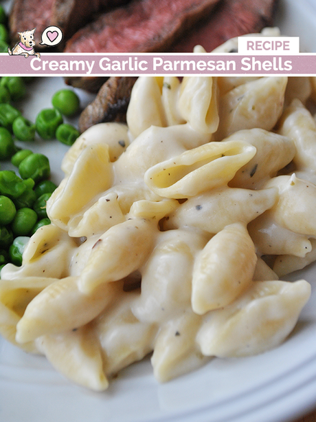 creamy garlic parmesan shells recipe