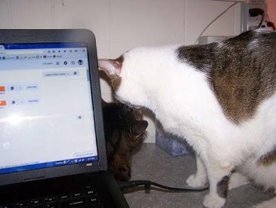 Switching to summer mode