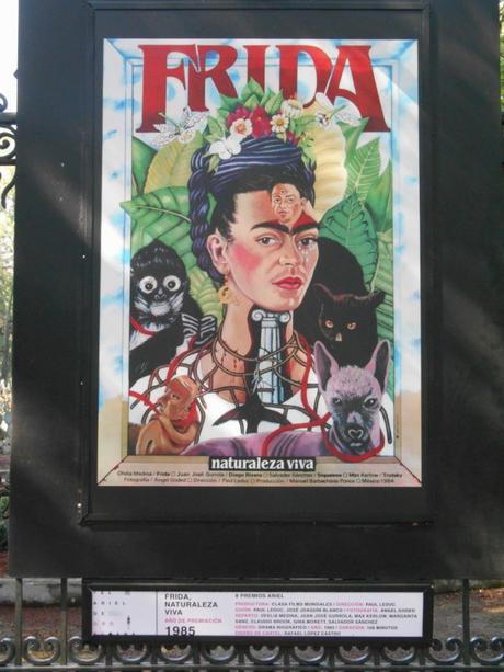 A photo depicting Frida Hahlo, the darling of Mexican art. Mexico City.