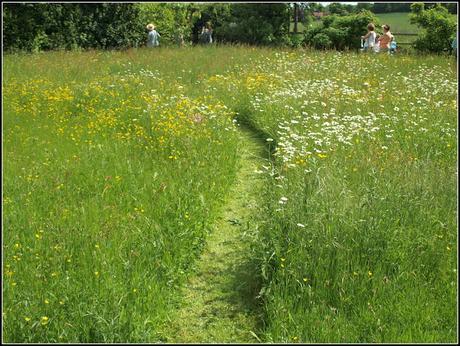 Garden-visiting with the NGS