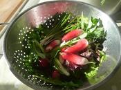 Nibbling, Time Flying Scratching Earth .....