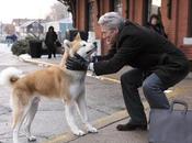 Hachi: Dog's Tale