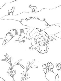 GILA MONSTER: Coloring Page