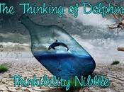 Thinking Dolphins Thinkibility Nibble