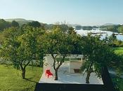 Tiny Backyard Additions