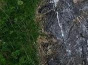 Climate Talks Agree Major Forest Protection Plan