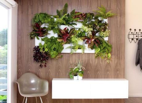 Colorful houseplants cascade out of a wall container. (Photo by Urbilis)