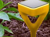 Smart Tech Tool That Will Help Novice Gardeners Kill Fewer Plants