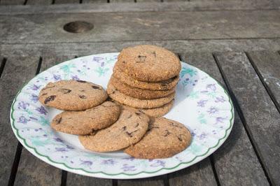 Gluten-Free Peanut Butter and Chocolate Chunk Cookies