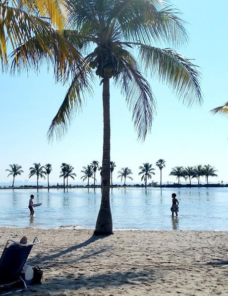 A typical summer weekend and the essentials to get us through it! #RewardHealthyChoices #ad