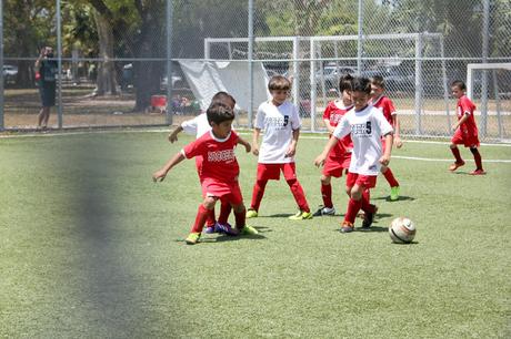 A typical summer weekend and the essentials to get us through it! #RewardHealthyChoices #ad