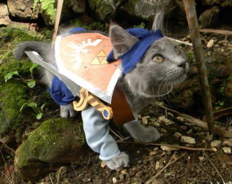Top 10 Fantasy Images of Legend of Zelda Cats 