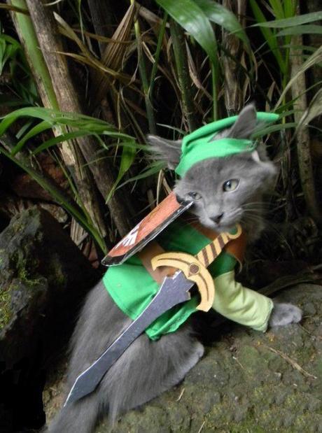 Top 10 Fantasy Images of Legend of Zelda Cats 