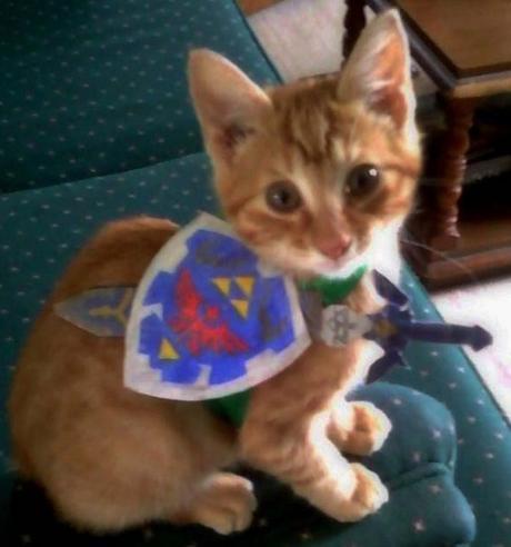 Top 10 Fantasy Images of Legend of Zelda Cats