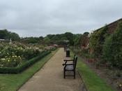 Visit Rose Garden Hampton Court Palace