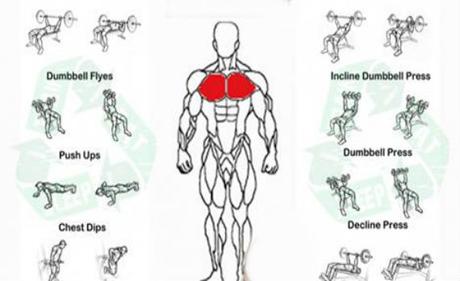 Chest Exercises For Men Paperblog