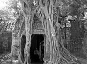 Angkor, Cambodia