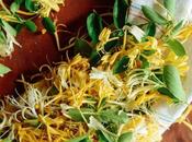 Gluten Free Pancakes with Honeysuckle Infused Butter Maple Syrup