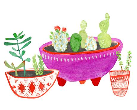 lingsay-gardner-cactus-planters