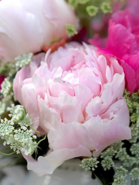 Peonies-British-Flower-Week