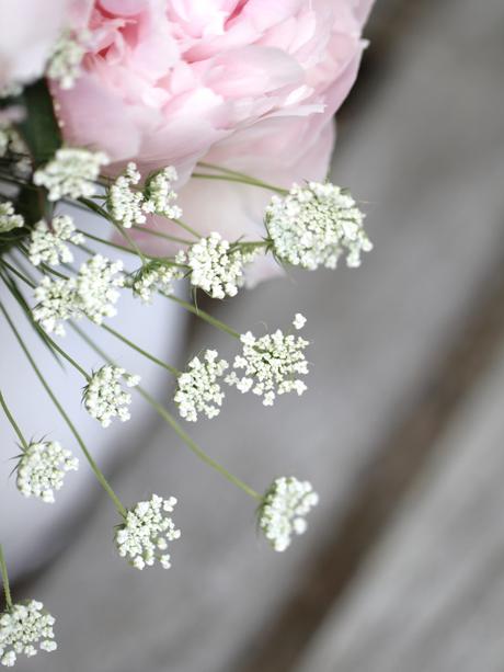 Peonies-British-Flower-Week.