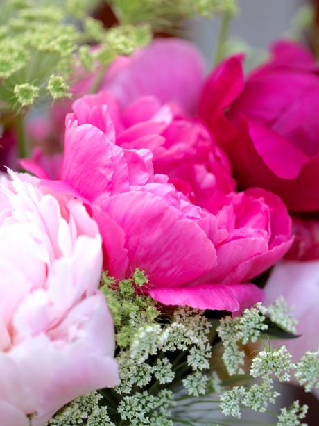 Peonies-British-Flower-Week