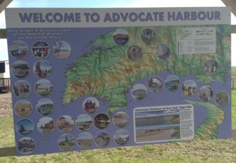 Advocate Harbour Color Shaded Relief Map