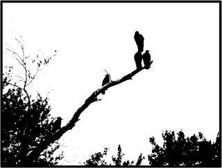 Catholic priests attempt to exorcise all demons from Mexico