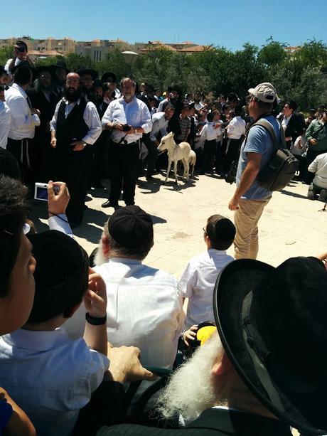 Pidyon Petter Chamor in RBS A