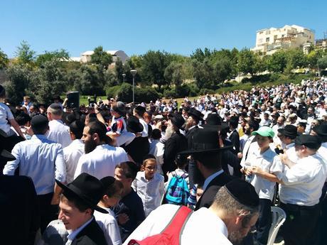 Pidyon Petter Chamor in RBS A