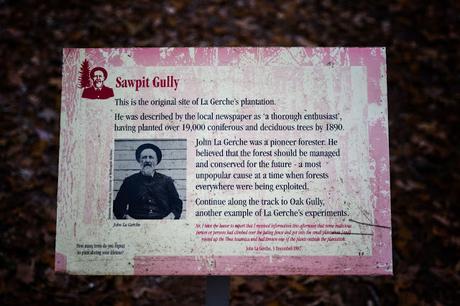 information sign for la gerche forest walk creswick