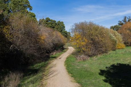 walking track creswick