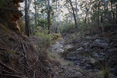 opening in eatons dam wall creswick