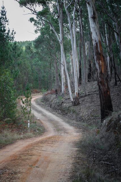 east west road creswick