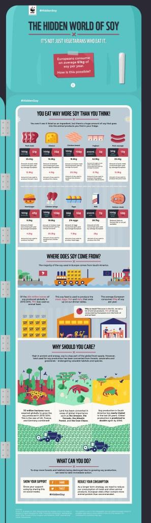 hidden_soy_infographic_2015